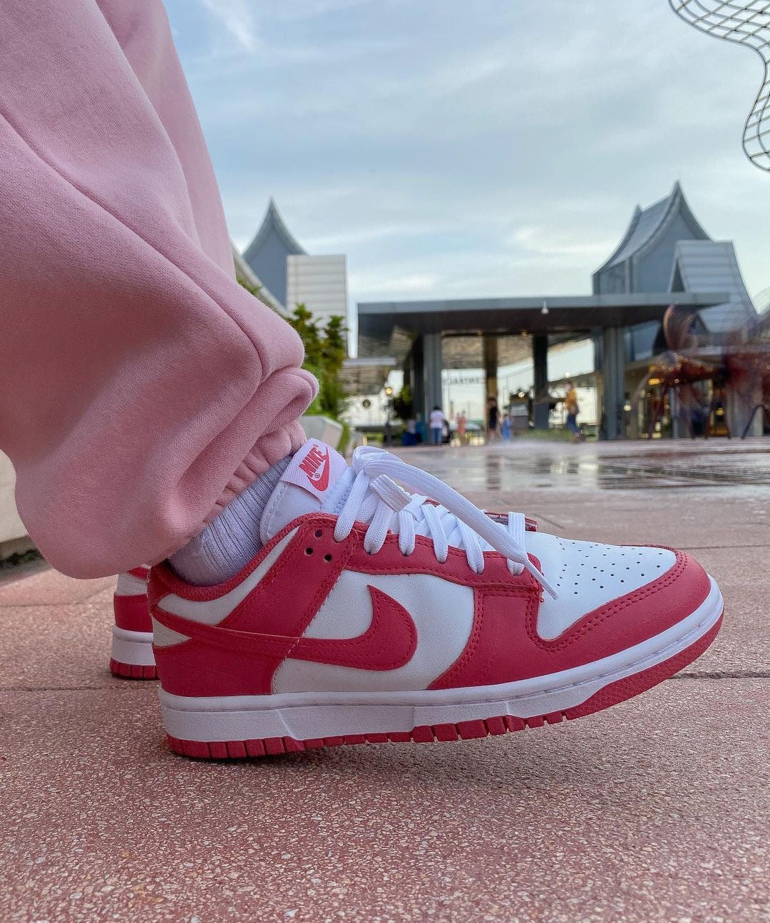 Nike Dunk Low Archeo Pink