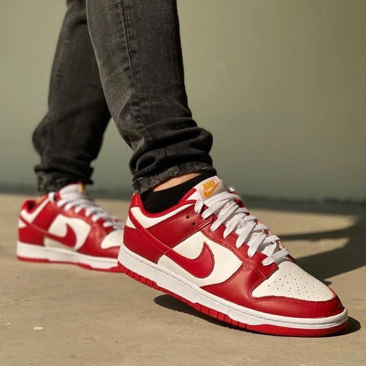 Nike Dunk Low Usc