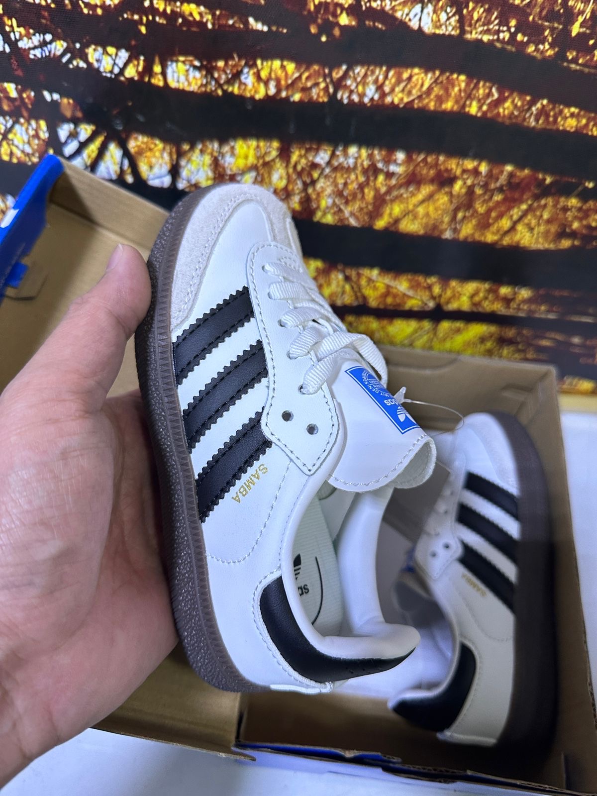 Adidas samba baby shoe series