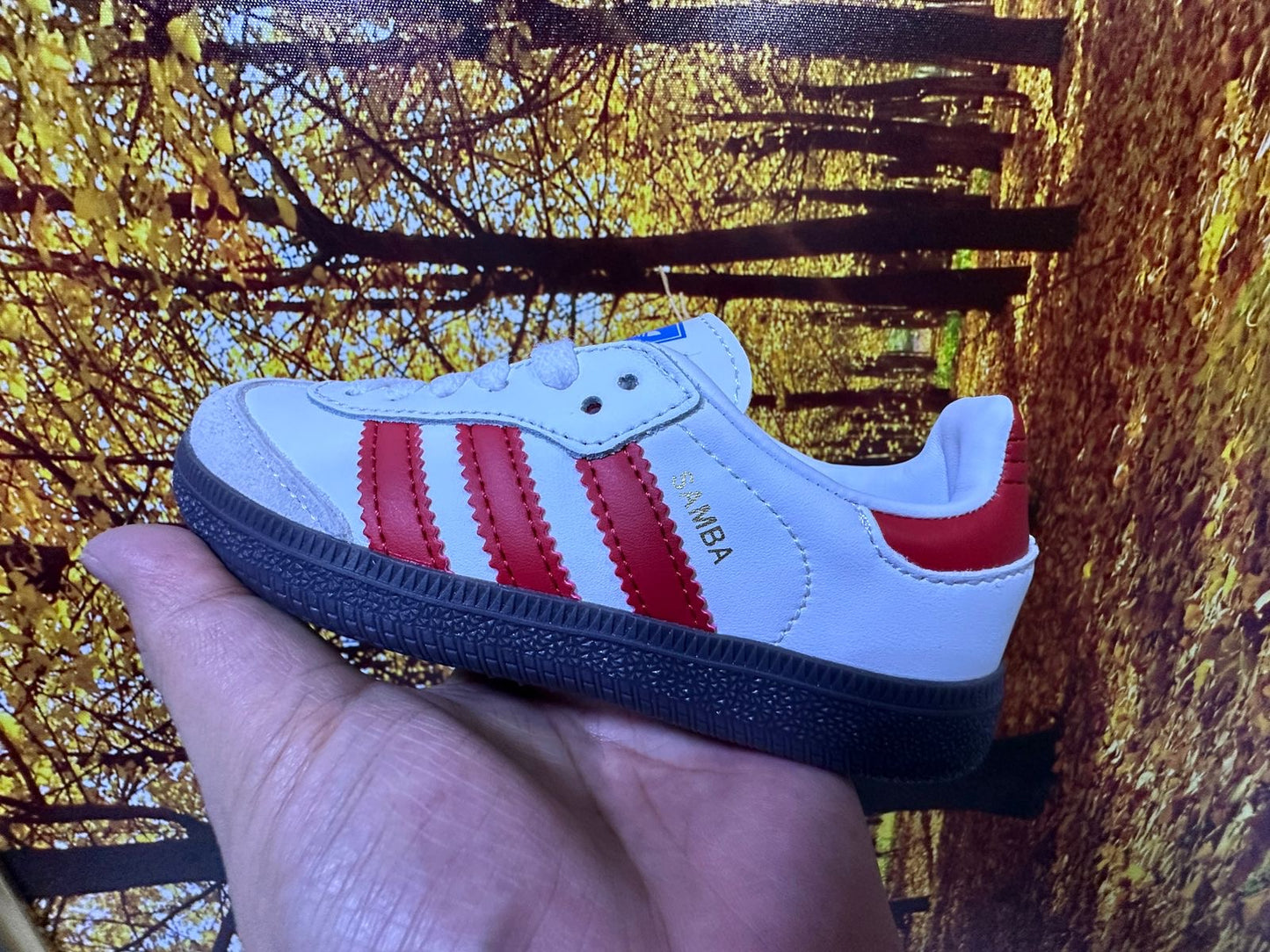 Adidas samba baby shoe series